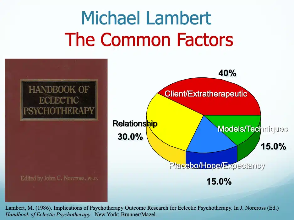 Michael Lambert book